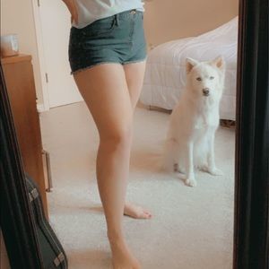 Wild Fable Jean shorts